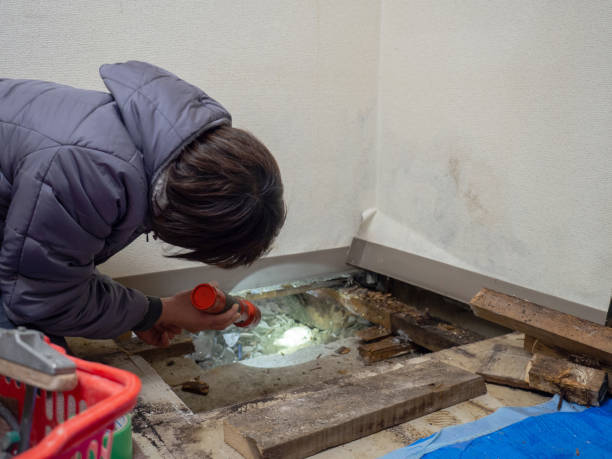 Best Mold Documentation for Insurance Claims  in Vermillion, SD