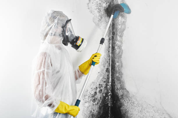 Best Mold Documentation for Insurance Claims  in Vermillion, SD