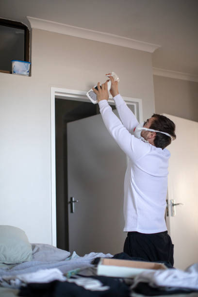 Vermillion, SD Mold Removal Company