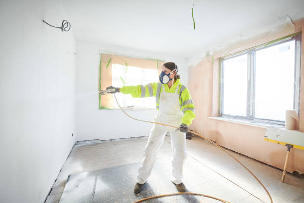 Best Crawl Space Mold Remediation  in Vermillion, SD