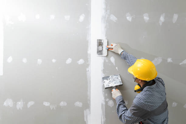 Best Comprehensive Air Testing for Mold Contaminants  in Vermillion, SD