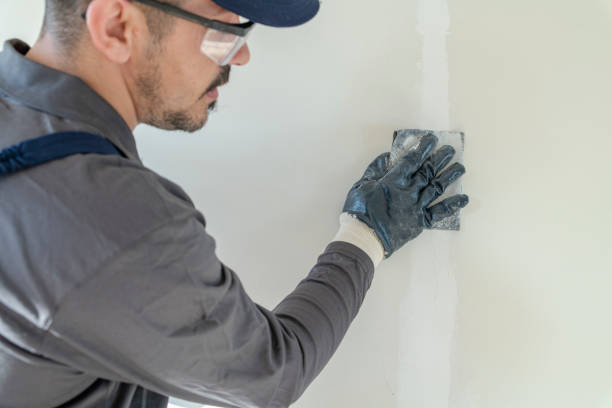 Best Commercial Mold Inspection  in Vermillion, SD