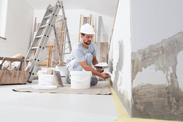 Best Biohazard Mold Removal  in Vermillion, SD