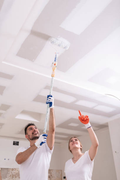 Best Environmental Consulting for Mold Prevention  in Vermillion, SD