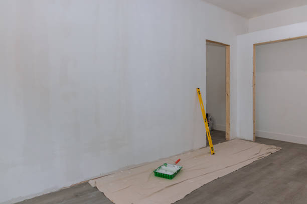 Best Industrial Mold Remediation  in Vermillion, SD
