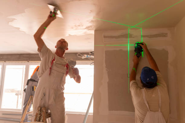 Best Asbestos and Lead Testing During Mold Inspection  in Vermillion, SD