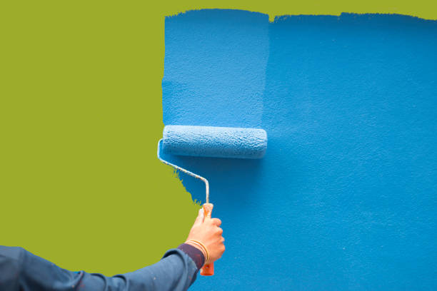 Best Environmental Consulting for Mold Prevention  in Vermillion, SD